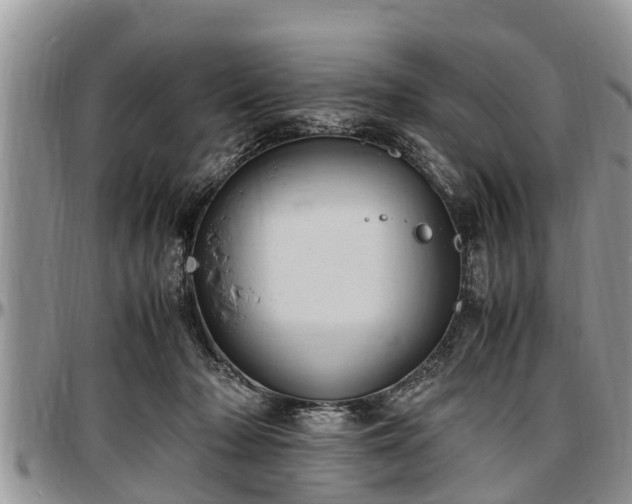 X0000097500318200802291603