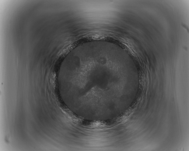 X0000097500319200802291603