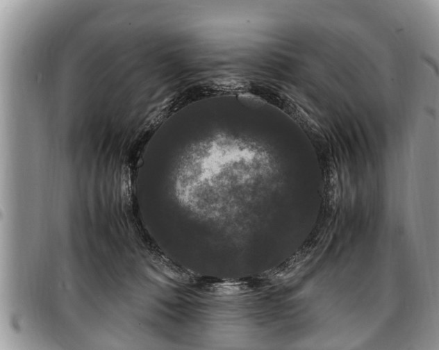 X0000097500320200802291603
