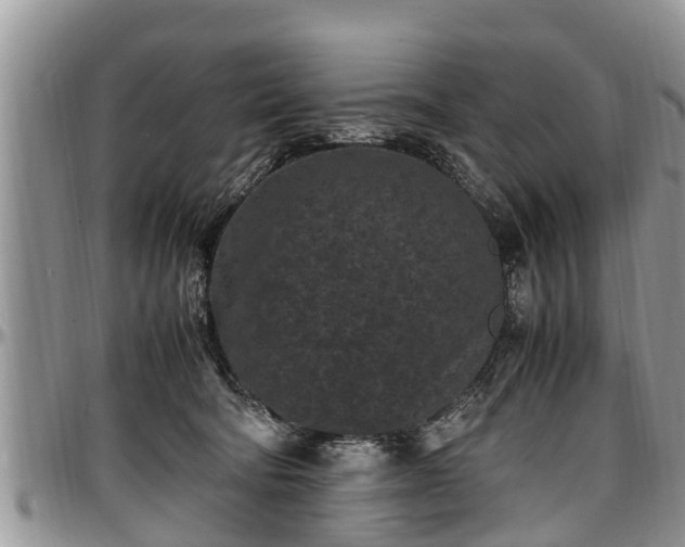 X0000097500322200802291603