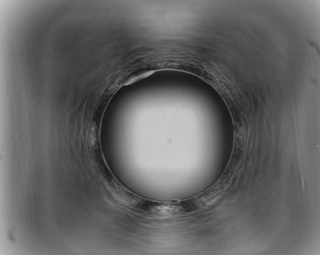 X0000097500323200802291603