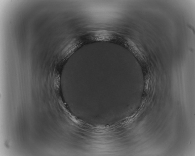 X0000097500325200802291603