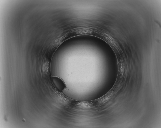 X0000097500326200802291603