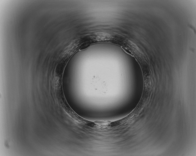 X0000097500327200802291603