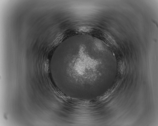 X0000097500328200802291603