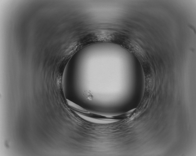 X0000097500329200802291603