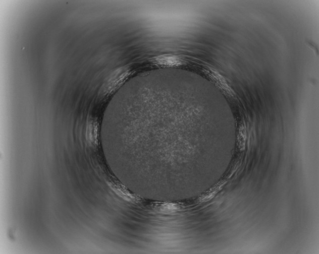 X0000097500330200802291603