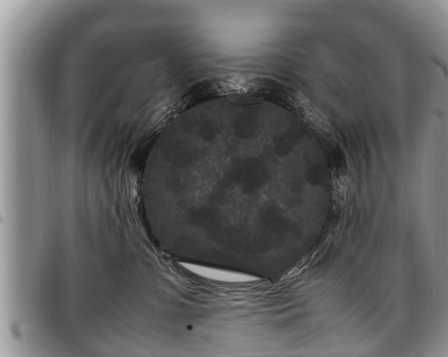 X0000097500331200802291603