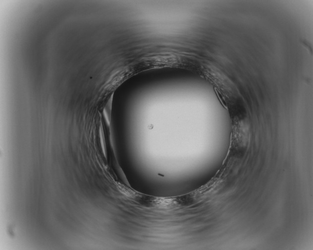 X0000097500333200802291603