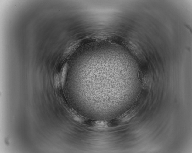 X0000097500335200802291603