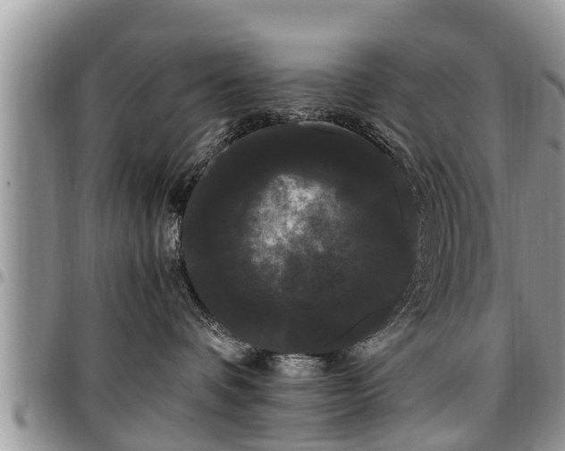 X0000097500336200802291603