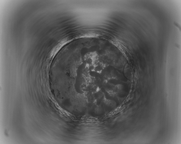 X0000097500337200802291602
