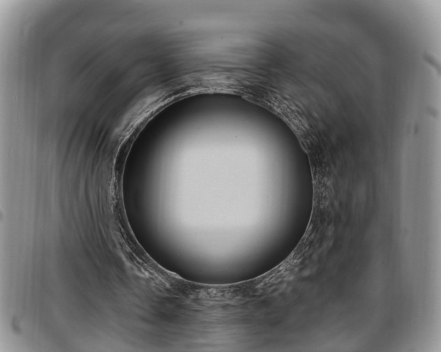 X0000097500338200802291602