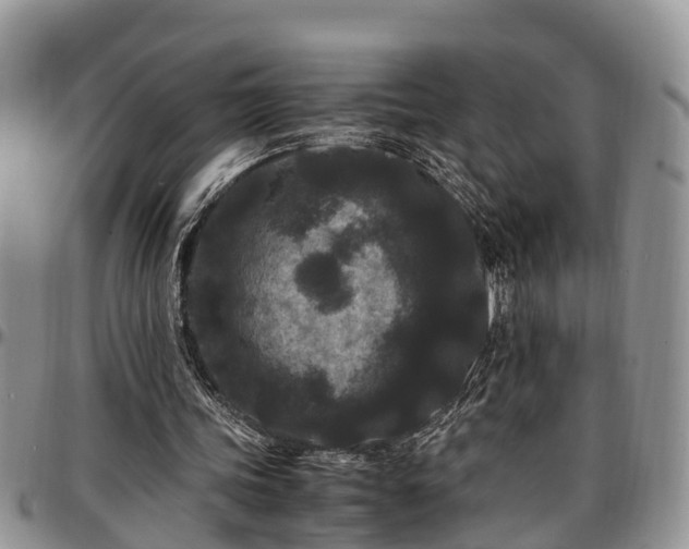 X0000097500339200802291602
