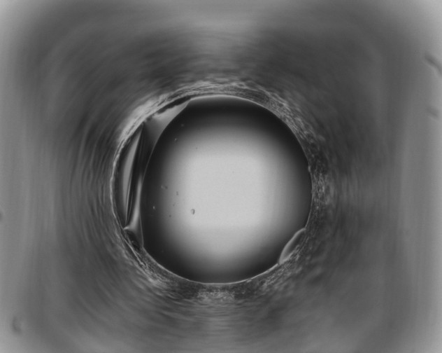 X0000097500340200802291602