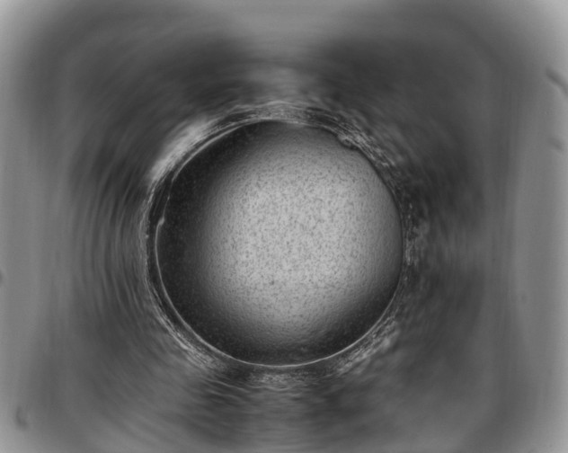 X0000097500341200802291602