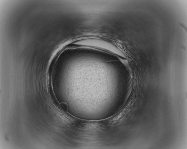 X0000097500342200802291602