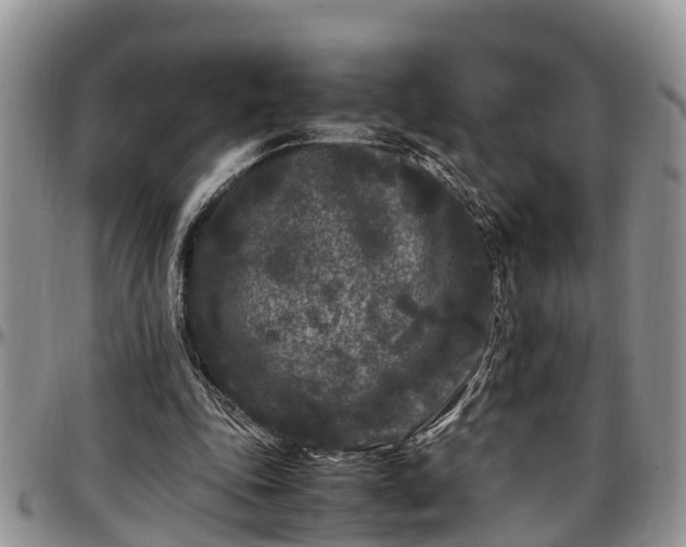 X0000097500343200802291602