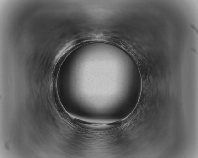 X0000097500344200802291602