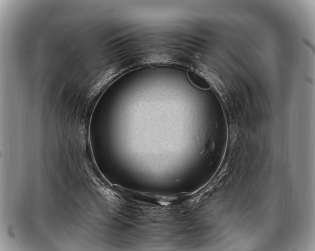 X0000097500345200802291602