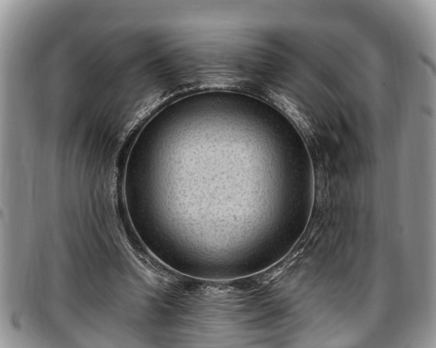 X0000097500346200802291602