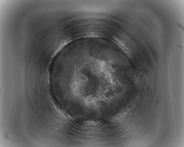 X0000097500347200802291602