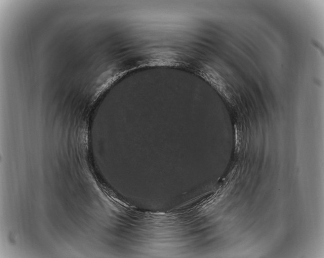 X0000097500348200802291602