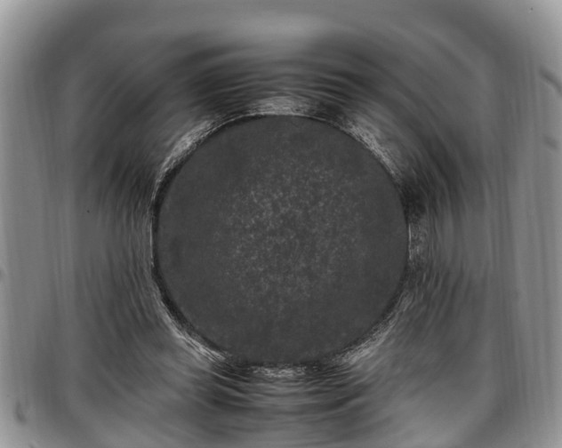 X0000097500349200802291602