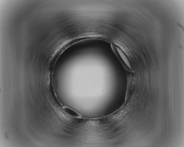 X0000097500350200802291602
