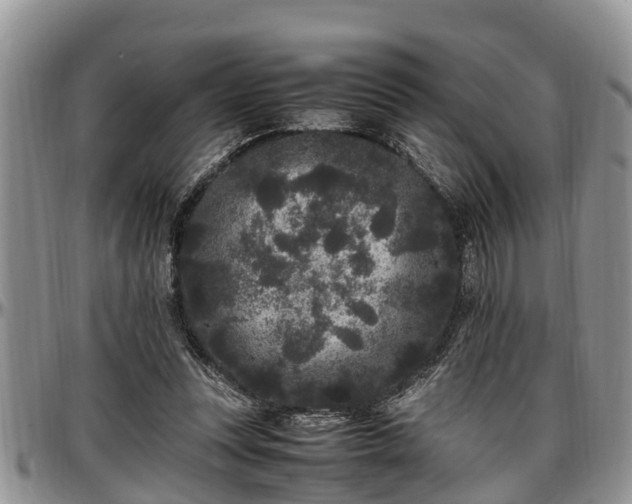 X0000097500351200802291602