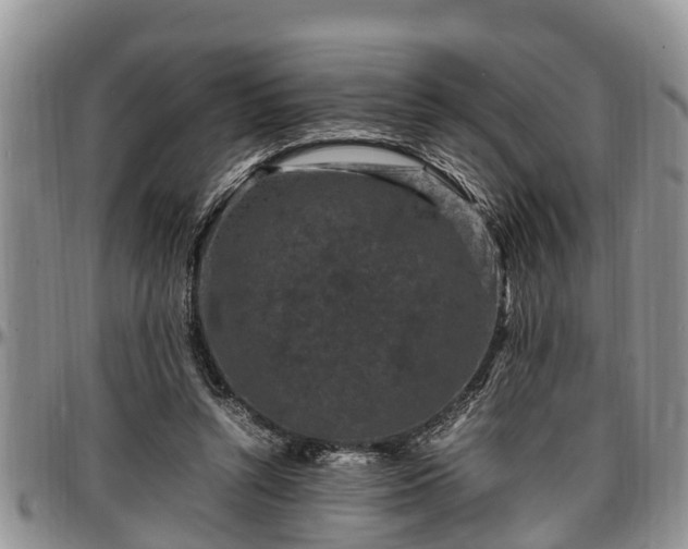 X0000097500352200802291602