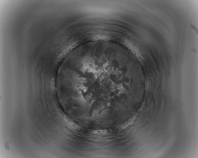 X0000097500353200802291602