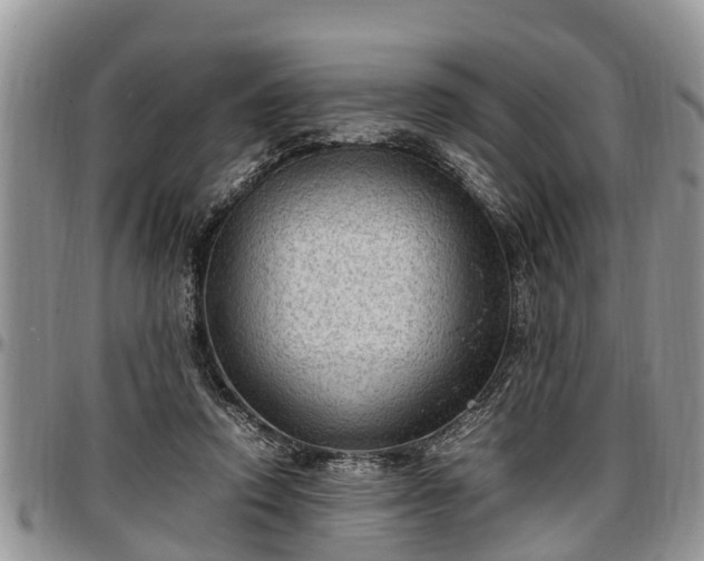 X0000097500354200802291602