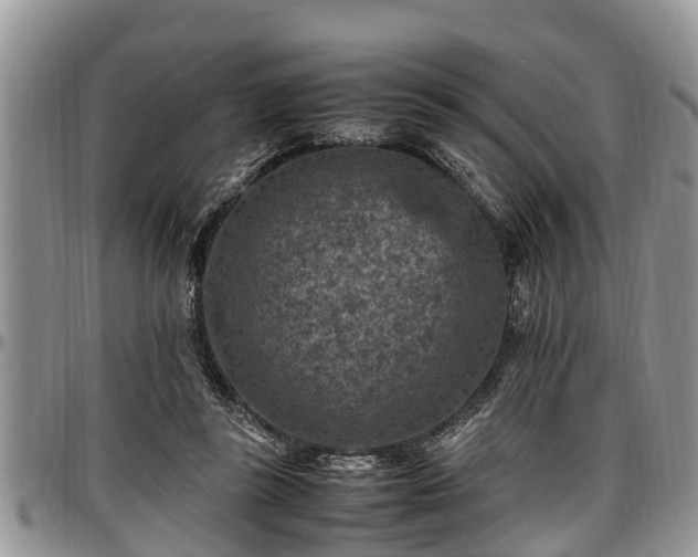 X0000097500355200802291602