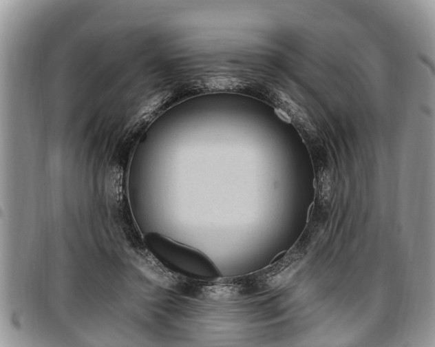 X0000097500356200802291602