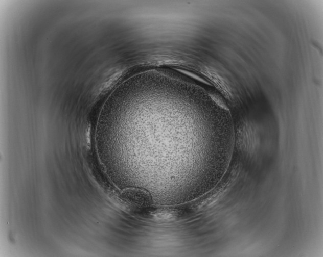 X0000097500358200802291602