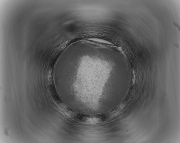 X0000097500360200802291602