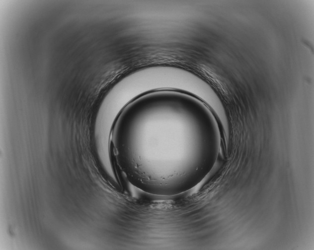 X0000097500362200802291602