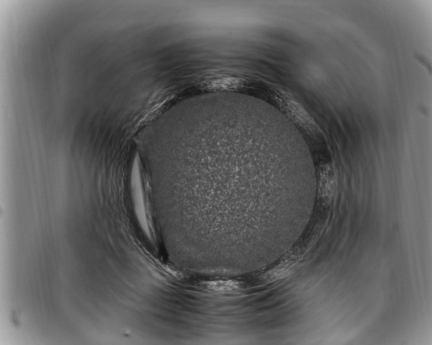 X0000097500363200802291602