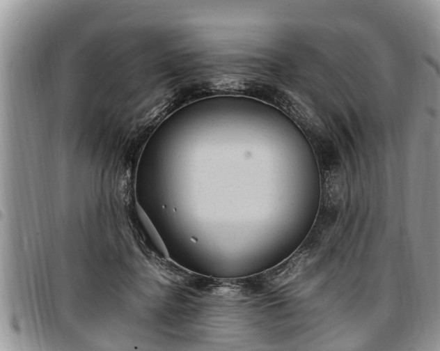 X0000097500364200802291602