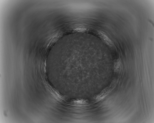 X0000097500365200802291602