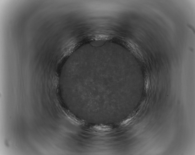 X0000097500367200802291602
