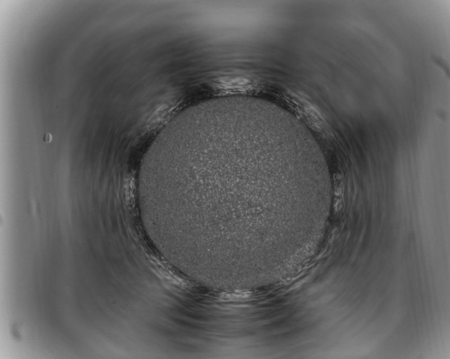 X0000097500369200802291603