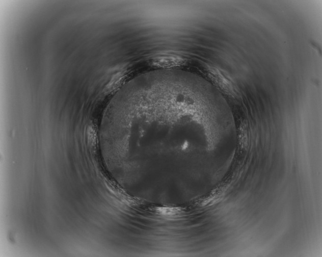 X0000097500371200802291603
