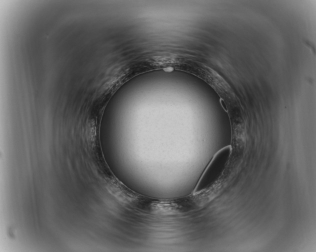X0000097500372200802291603