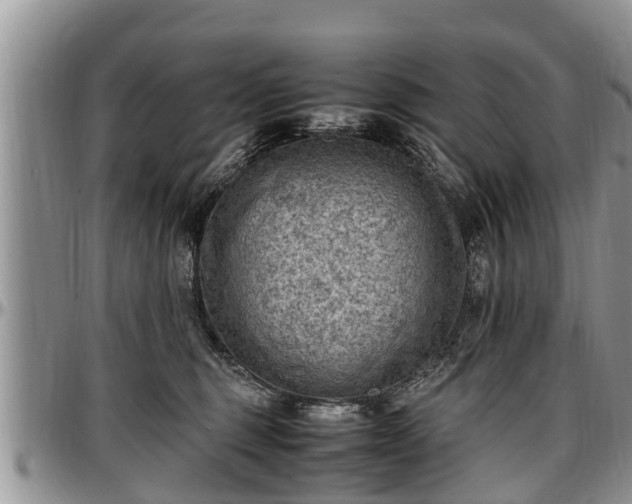 X0000097500375200802291603