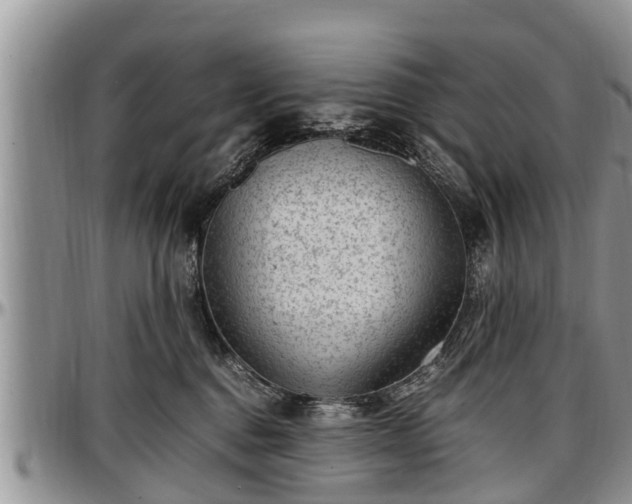 X0000097500376200802291603