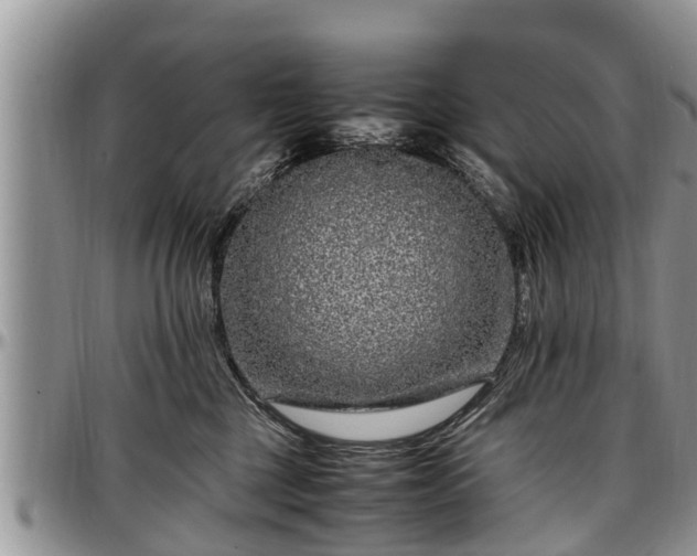 X0000097500377200802291603