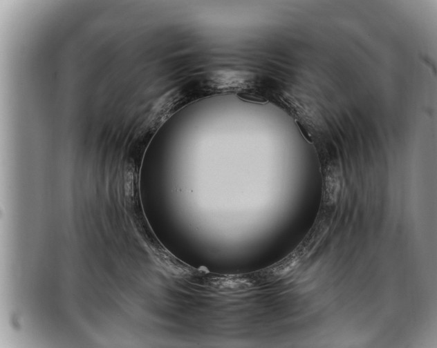 X0000097500379200802291603