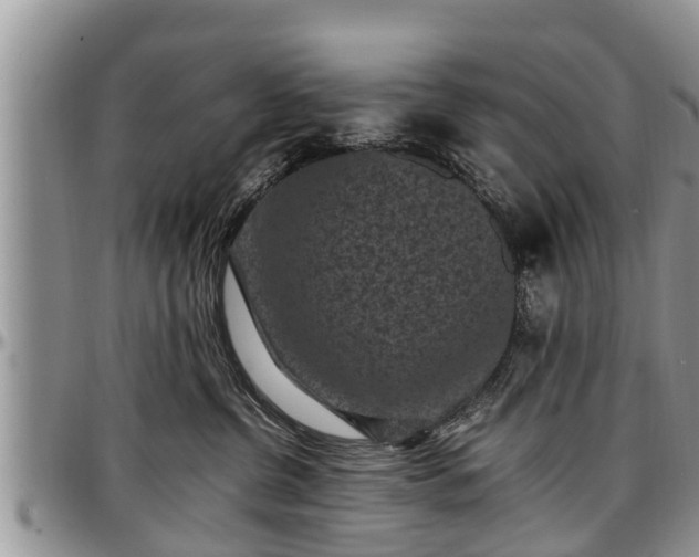 X0000097500380200802291603